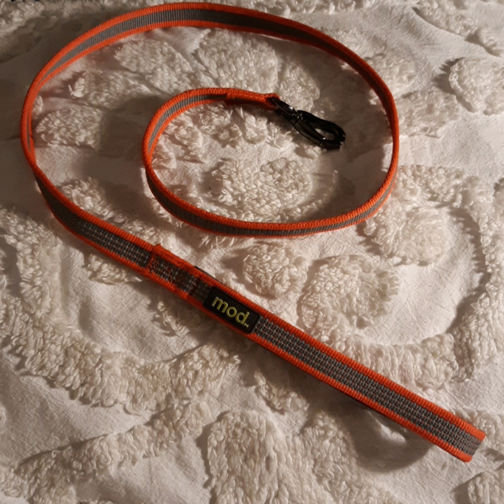 Dog Leash & Collar Set